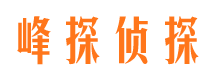 三门峡市侦探调查公司